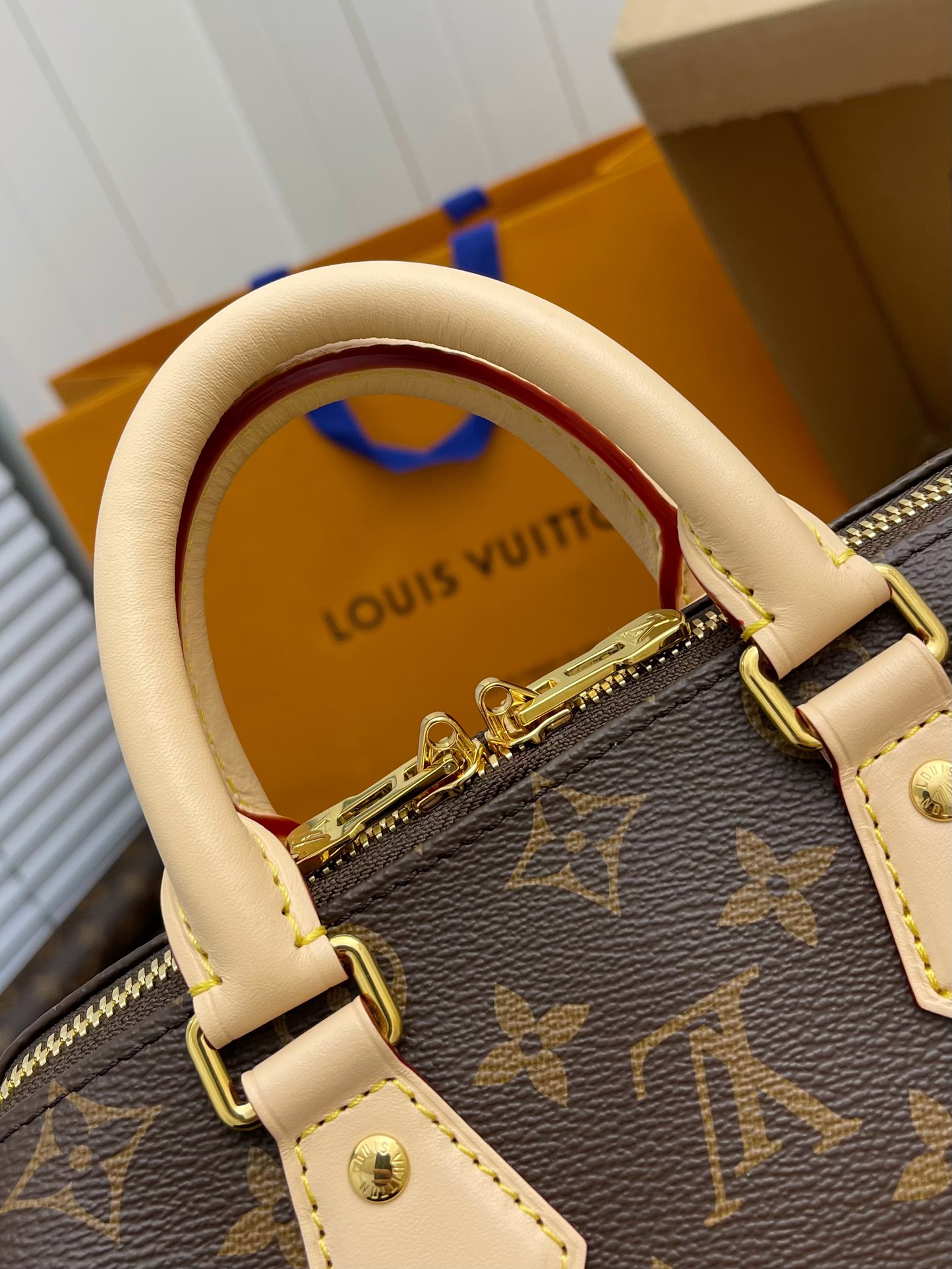 LV Speedy Bags